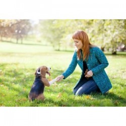 Click And Treat Is For The Dogs